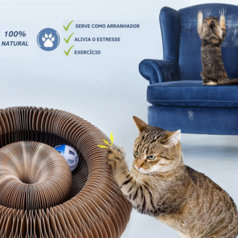 Interactive Cat Toy I Cat Joy + 1 Gift Ball