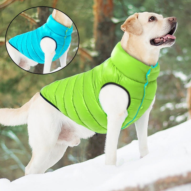Alby™ Double-Sided 3-Layer Pet Vest | Dog's clothes 