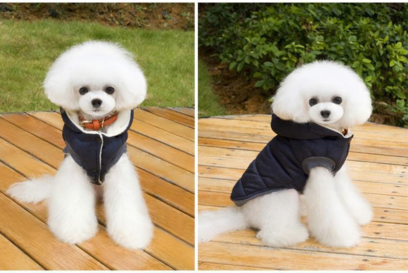 Winter Vest for Dogs | Gentleman