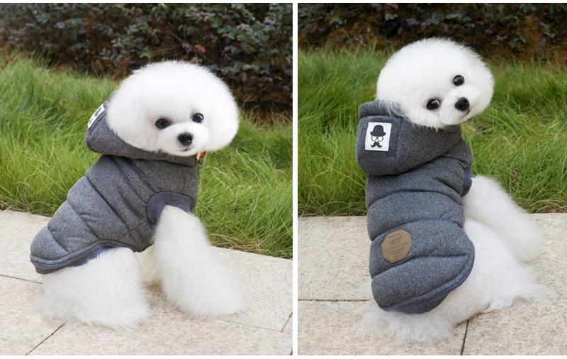 Winter Vest for Dogs | Gentleman